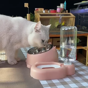 ชามคู่ดื่มอัตโนมัติชามแมวชามสุนัขชามข้าว 2 ใน 1 ชามอาหารสุนัขชามอาหารสุนัขชามอาหารป้องกันคอขนาดใหญ่