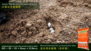Greenfeed Slow Release Fertilizer 1kg (20:15:10:2+TE) / Baja Greenfeed Pokok Durian Muda / Young Durian Tree Fertilizer