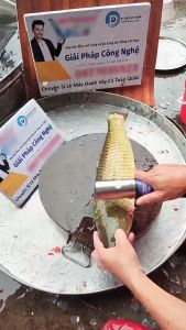 Máy Đánh Vảy Cá Cầm Tay Công Suất Lớn 125W Chống Nước lưỡi Inox 304