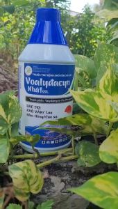 [Freeship Max] Thuốc trừ bệnh hoạt chất Valydamycin 5% hiệu VOALYDACYN NHẬT 5SL trừ bệnh đốm vằn trên lúa nấm hồng trên cao su hiệu quả cao chai 1 lít_