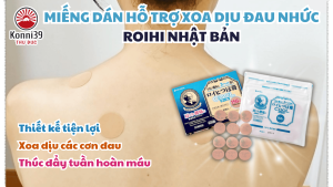 MIẾNG DÁN ROIHI NHẬT BẢN (DÒNG MÁT LẠNH -  HỘP 156 MIẾNG)