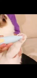 [SG Stock] LED Pet Hair Shaver Trimmer Cats and Dogs Grooming Shaver Paw Clippers