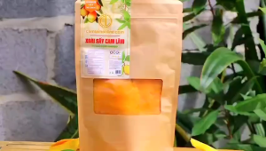 Xoài sấy dẻo - đặc sản Cam Lâm Khánh Hòa 500g
