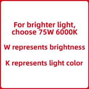 Right One | Xenon Headlight Bulbs Near Light