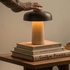 LIWAN | Portable Charging Touch Bedside Atmosphere Light