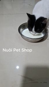 Combo 1-5 gói Sữa Bio Milk cho Chó Mèo 100g cung cấp dinh dưỡng cho Mèosữa cao cấp cho chó mèo bio-milk