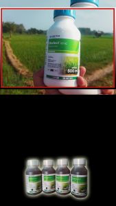 Herbisida Novlect 120EC & 500 ml: Solusi Racun Rumput Padi