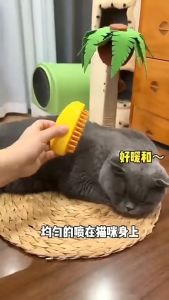 Teekland Sisir semburan haiwan kesayangan mangga yang popular semburan elektrik haiwan peliharaan kucing dan anjing semburan satu klik semburan rambut anti-terbang sikat lembut dan anti-simpul