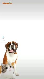 Nước súc miệng đánh bay mảng bám hôi miệng Vemedim WHITE TEETH dùng cho chó mèo - T3 PETS SHOP