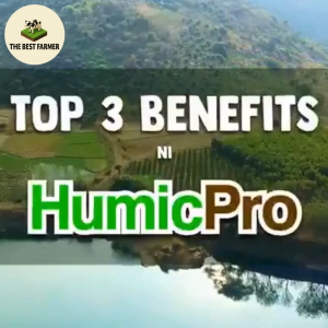 Humic Pro Soil Conditioner 250g – Organic Humic Acid Fertilizer for Rice Corn & Vegetables