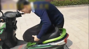 【COD】MOTORCYCLE Seat Cover Net Jaring Seat Moto RS150 Y15 LC LC135 Wave 125 EX5 - Universal M L XL XXL