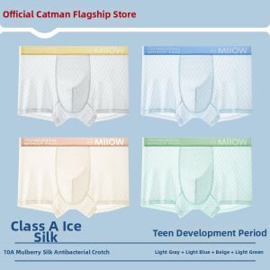 MiiOW | Antibacterial Growth-stage Boys Ice Silk Underwear