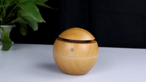 DIODIY Humidifier Air Purifier For Room Moisturizing Aroma Diffuser Humidifier With Essential Oil