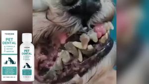 Pet Mouth Cleaning Liquid Natural Plants Tartar Remover Cleaning Bad Smell Tongue Pet Accessories Dogs Cats Oral Cleanse Serums