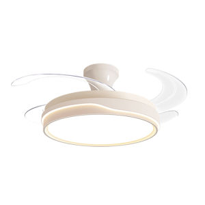 DGY | Invisible Household Ceiling Fan Light