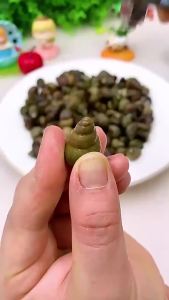 ที่ตัดก้นหอย เครื่ โยชน์ การออกแบบก้นหอยทาก สนามตัด ไม่ลืน กรร ไกรพิเศษสำหรับตัดหาง สิง โต เครืองตัดหินเหมาะสำหรับหอยทาก เครือง มือกำจัดหาง