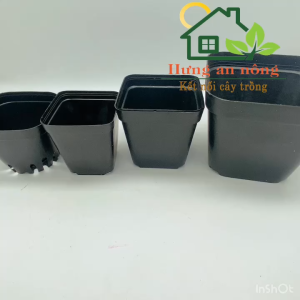 CNVDL2 - Sét 50 chậu nhựa vuông đen ươm trồng cây size 10x8cm