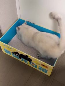 FURRYBUM | Safe & Durable Cat Scratching Board and Bed