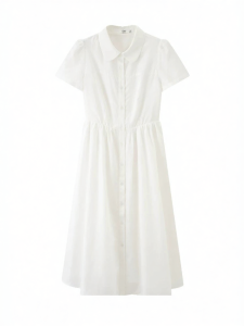 SANFU | Waiseted A-Line Dress For Women