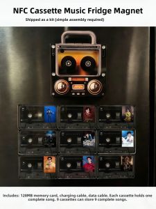 AMU·PIGGY | NFC Music Playing Magnetic Refrigerator Magnet Acrylic