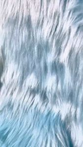 Hntob 5pcs/Set Baby Nail Trimmer Clipper Scissor Cutter Manicure Essential Tool Care Travel W/Case