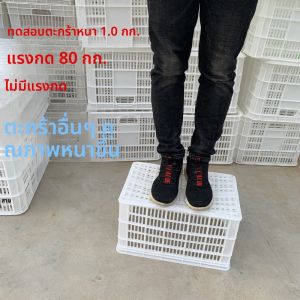 Heavy Duty Organization and Transport Plastic Tote