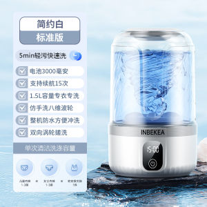 Portable Mini Underwear Washing Machine