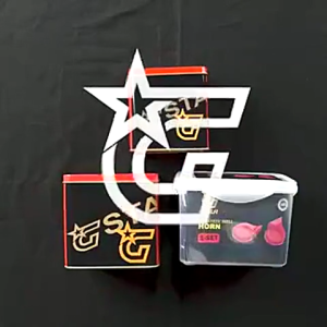 Z1 G Star V1 V2 V3 12V 118dB Loud Horn For Motorcycle Universal Fit High-Low Tone Snail Type 2 Pcs Set