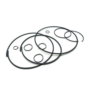 Transpeed 10 Pcs O-ring Kit for NISSAN DATSUN: A Comprehensive Guide
