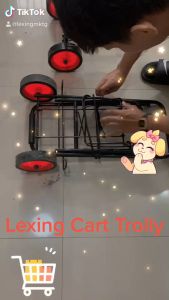 Heavy Duty Shopping Trolley And Foldable Trolley Folding Cart Home Shopping Cart (20-40 KG)