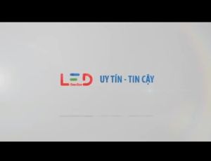 [Chính Hãng] Bóng Led tròn Rạng Đông Đui xoáy E27 Chip led Samsung [3W-5w-7W-9W-12W-15W]