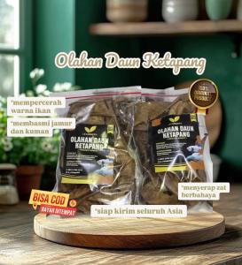 DAUN KETAPANG LAUT OLAHAN KEMASAN BESAR SUDAH DI OLAH PROSES FERMENTASI