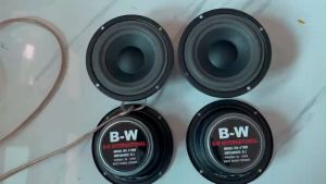 Loa mid trung 10 B-W gân mút từ 70 coil 19 toàn vành 11.5cm hàng nhập khẩu  - Loa trung cao cấp - Loa trung kín