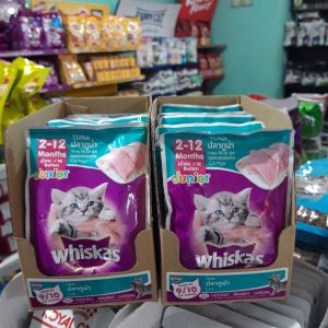 Whiskas Sachet Junior tuna 1 dus isi 24 sachet / Makanan kucing pouch sachet 80 gr x 24 pcs BISA COD wet food makanan kucing basah