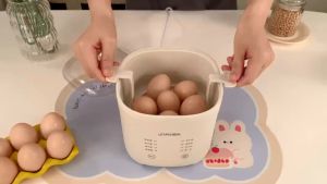 多功能煮蛋器自动断电蒸蛋器多功能家用早餐机煮蛋神器温泉蛋蒸蛋羹