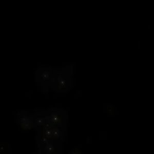 Sunflower diamond European and American hand-held rhinestone Oval ladies gift bag banquet bag