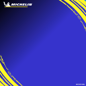 Michelin Digital Rechargeable Tire Gauge