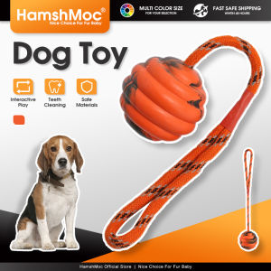 HamshMoc Durable Dog Chew Ball Toy Interactive Pet Tug Toy Bite-Resistant Teeth Cleaning For Dogs Outdoor Biting Training