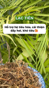 Cây lạc tiên sấy khô túi 1kg - Hàng sạch thơm cao cấp - Thảo Dược Tấn Phát