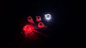 🔥【Local delivery+Wholesale⚡️】Fishing Lure Trap Light LED Eye Shape Fishing Squid Bait Luminous Lure Lamp