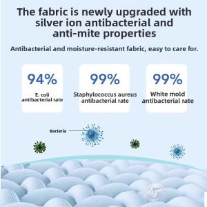 Office Petal Seat Cushion Integrated Back Support Beautiful Butt Posture Correction Ergonomic Chair Pad Modern Minimalist Design