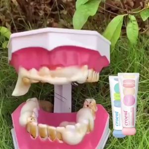 Kem Đánh Răng Giúp Trắng Răng Giảm Ố Vàng Loại Bỏ Mùi Hôi Chống Sưng Nướu Loại Bỏ Vi Khuẩn Mảng Bảm Trên Răng Cho Hàm Răng Trắng Sáng Hơi Thơm Mát (hiệu quả gấp 100 lần)100g - Lazada