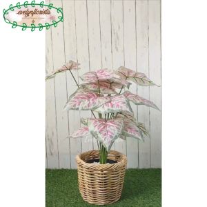 Pohon Hias Artificial Calladium Pink X18 Semilatex Cover Keranjang Rotan Bulat Pajangan Dekorasi Caffe Aesthetic