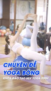 Bóng tập Yoga 65cm trơn chất liệu cao cấp chống nổ - Tặng kèm bơm & kim bơm bóng dự phòng - Chính hãng D Danido