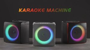Karaoke Machine with 2 Wireless Microphones for AdultsPortable Bluetooth Speaker with Echo and Led Lights for Christmas Birthday Gift Home Party Supports TF Card/USB/AUX SD-508