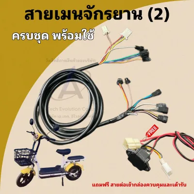 สายเมนจักรยานไฟฟ้า (2) สำหรับรถรุ่นมีหัวไฟ แถมฟรีสายต่อเข้ากล่อง ครบชุด พร้อมใช้ มีของพร้อมส่ง SAIMJ002