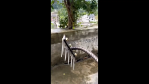 2 ใน 1 พลั่วพลั่วจอบหญ้า 8 ฟันอุปกรณ์ทำสวน พลั่วจอบปีนเขาด้วยใบมีด เครื่องมือจอบอเนกประสงค์สแตนเลส คราดเล็บ พลิกจอบดิน เกษตรกรรมครัวเรือน คราดหญ้า ทำความสะอาดหญ้า จอบพิเศษ