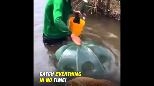 Multi Specification Umbrella Cage  Folding Fishnet Umbrella Cage Automatic Fish Cage Umbrella Cage