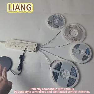 AC110V 220V to DC 12V 24V Lighting Transformer LED Cabinet Light Strip Light Power Supply DuPont Port Driver 24W 36W 60W 100W