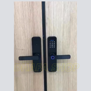 BARU TaffHOME Smart Door Lock Pintu Rumah Kartu sidik jari password kunci darurat - XR25